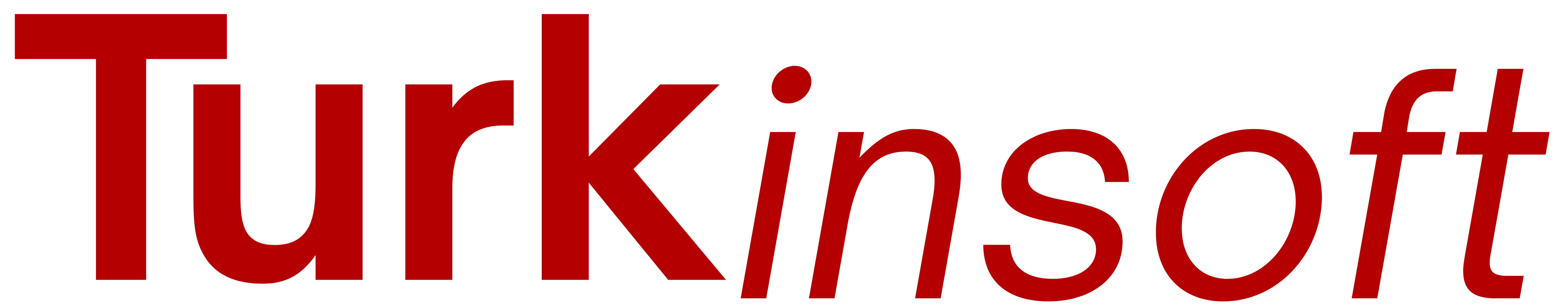 Turkinsoft Logo